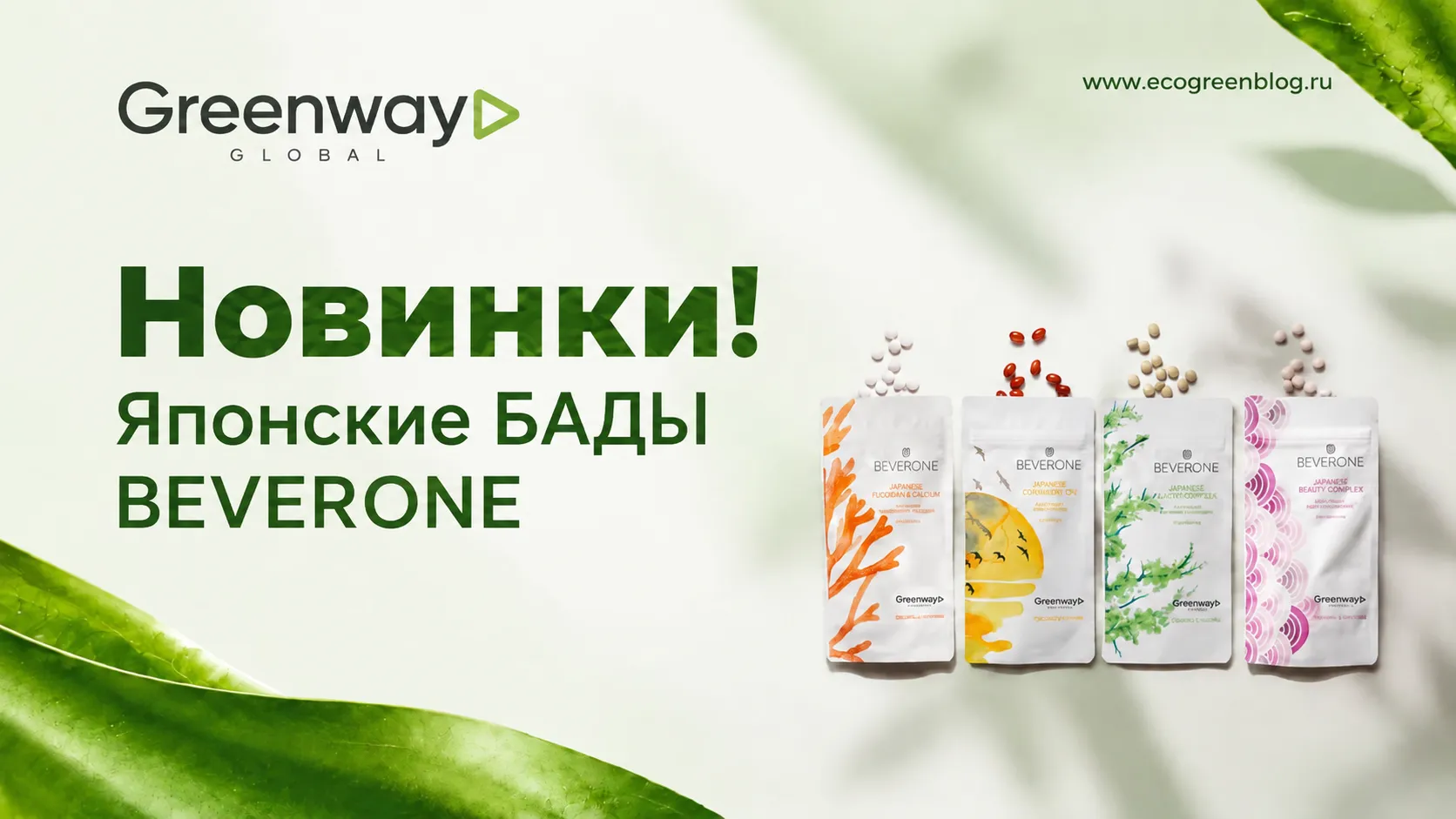 Японские бады BEVERONE Greenway Global